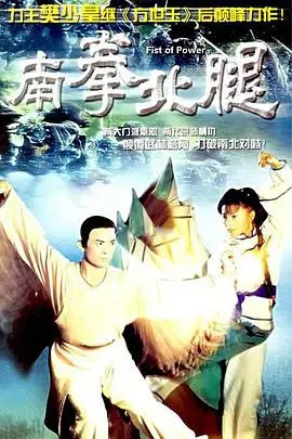 《南拳北腿》国语版：经典功夫片重温，拳脚生风的武侠世界！