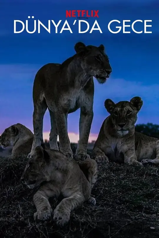 《地球之夜》：五夜故事，五味人生，一场跨越时空的奇妙邂逅！