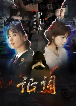 《证词》：一场直击人心的法律悬疑，真相与人性如何抉择？